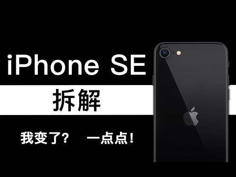 【蒋·拆解】iphone SE拆解-我变了？一点点！