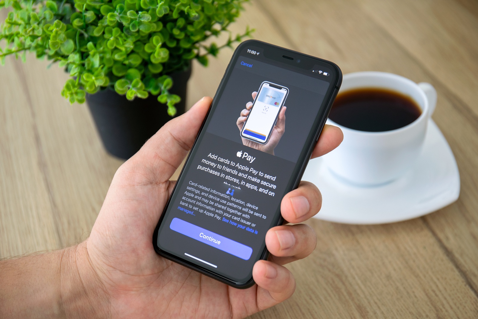 Anapa, Russia - October 1, 2019: Man hand holding iPhone 11 with Apple Pay on the screen. iPhone 11 was created and developed by the Apple inc.