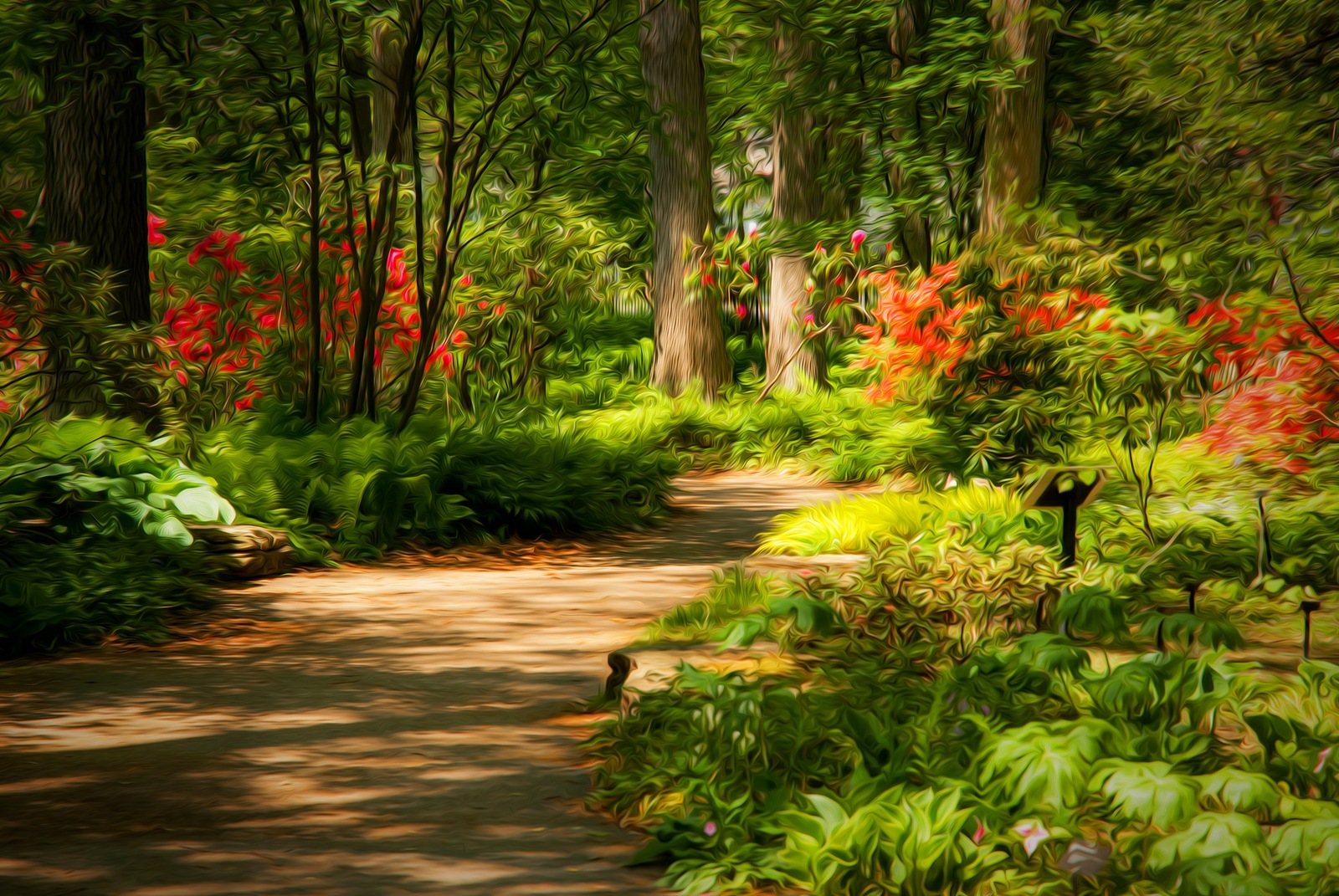 Beautiful manicured garden with a path lined with blooming azalea bushes. This photo has been given a Photoshop effect to make it look like an oil painting.