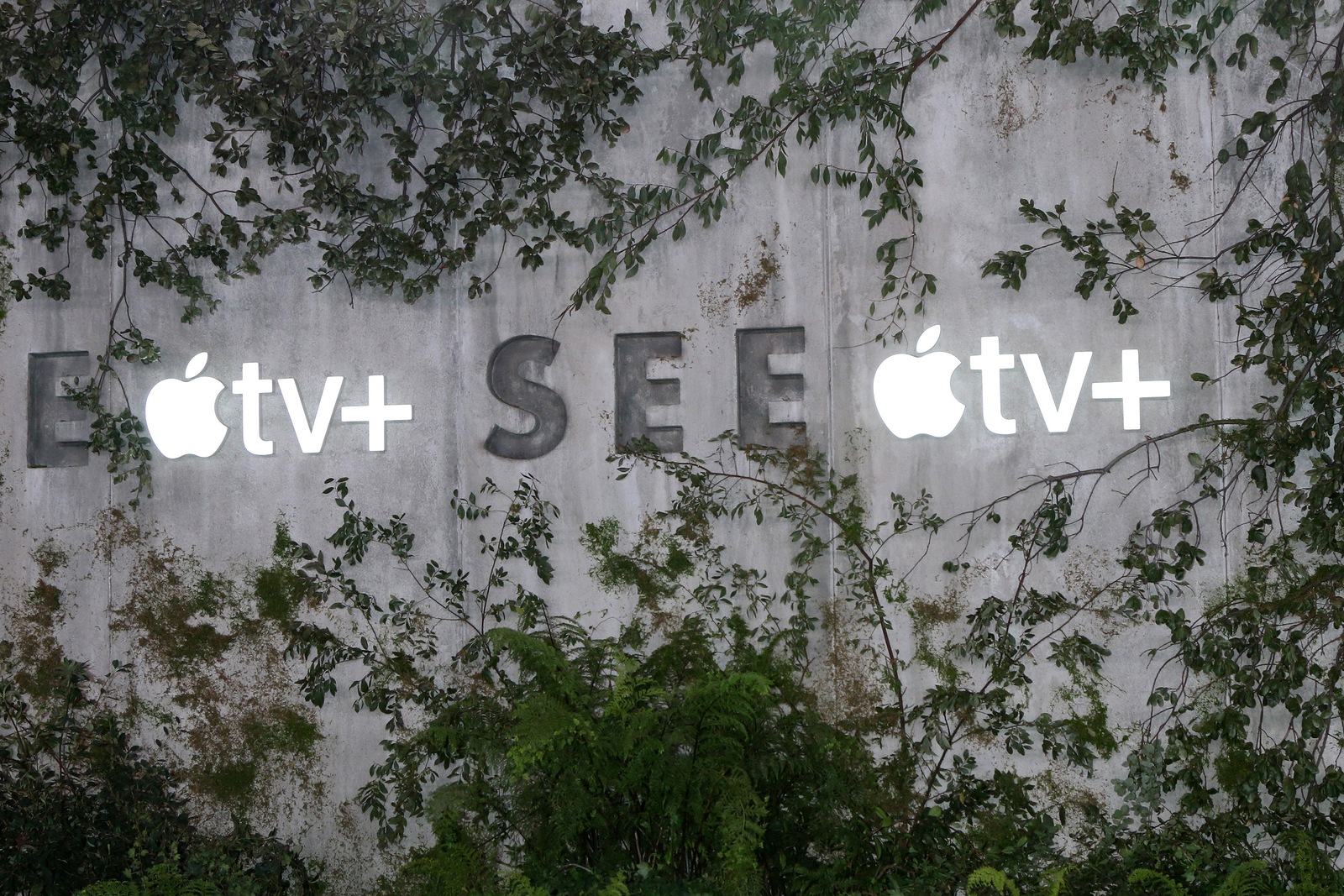 LOS ANGELES - OCT 21:  Atmosphere at the Apple TV+'s "See" Premiere Screening at the Village Theater on October 21, 2019 in Westwood, CA