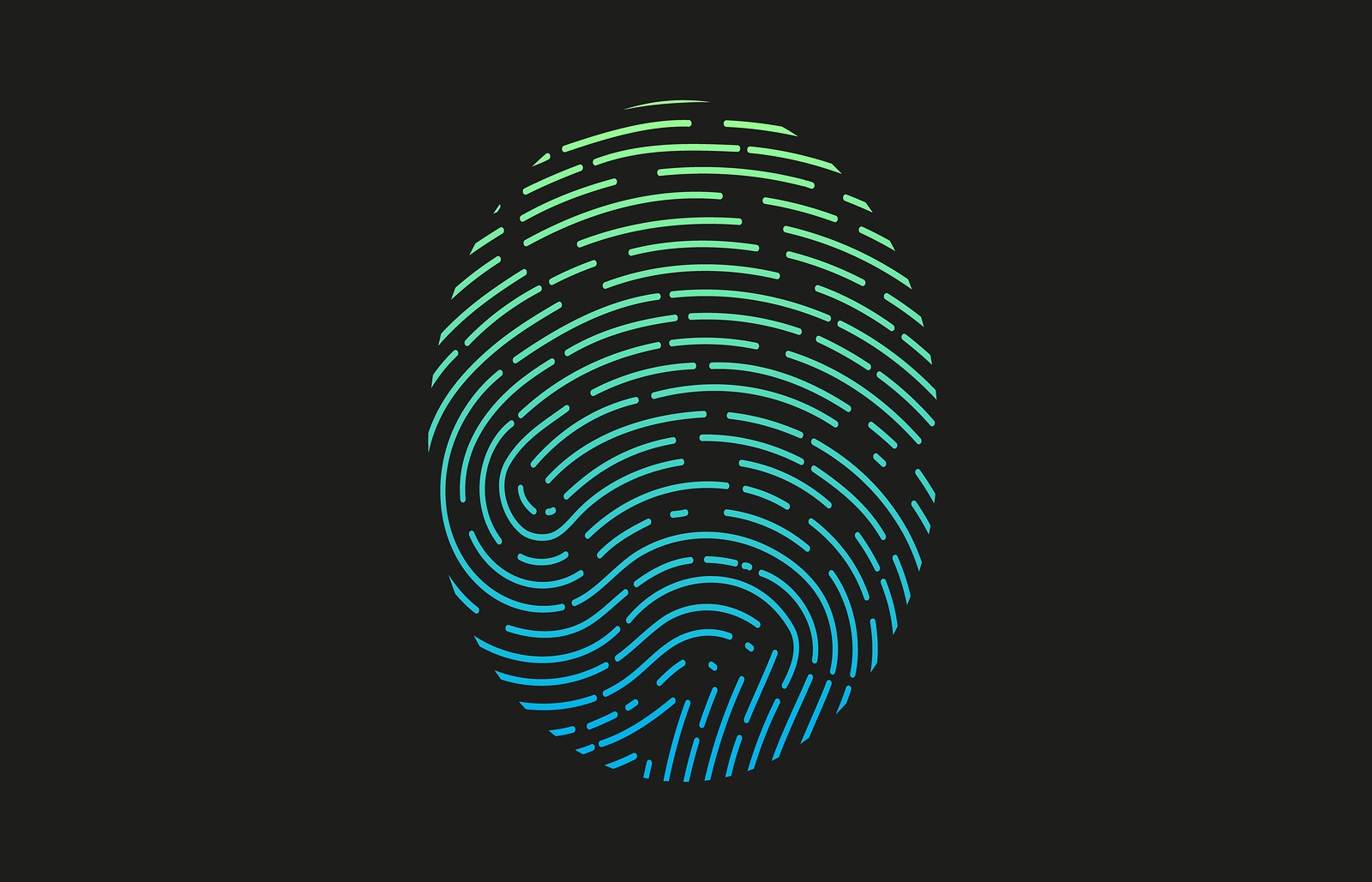 Fingerprint logo. Colored fingerprint icon identification. Security and surveillance system elements. Recognition biometric interface. Scanning fingerprints