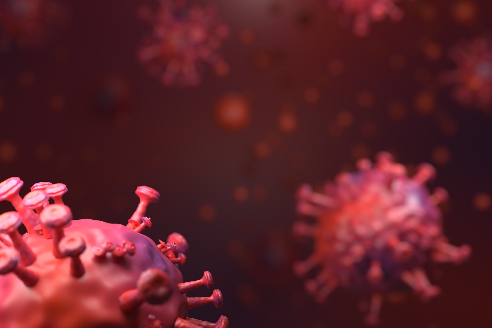 Virus or bacteria cells Microscope close up for background . COVID-19 Coronavirus 2019-nCov novel coronavirus , responsible for world flu outbreak and STOP coronavirus pandemic concept. 3d rendering