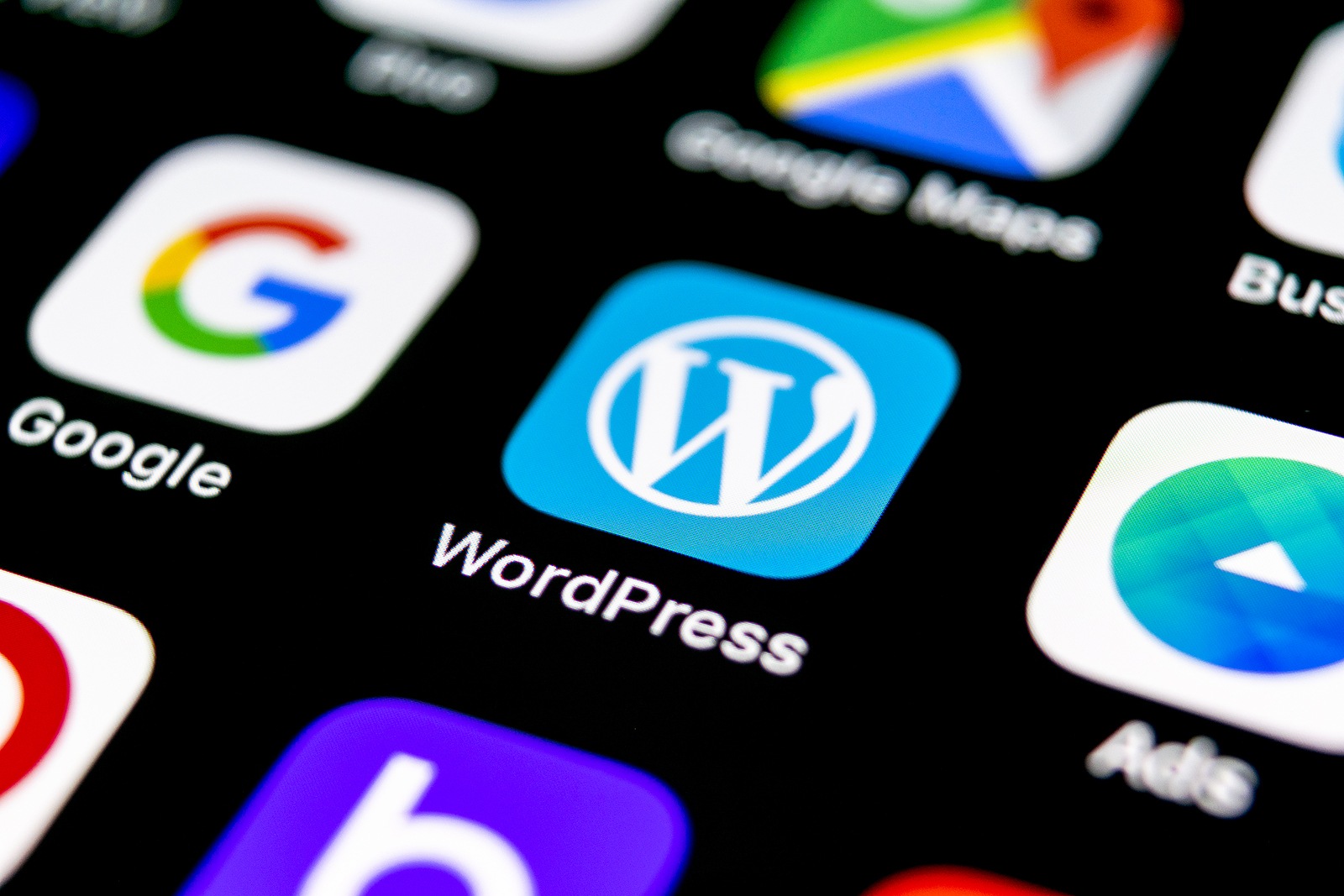 WordPress