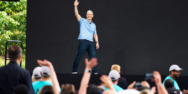 Tim Cook DEI program Apple