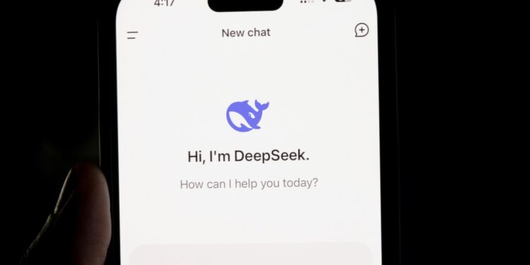 DeepSeek Datenschutz